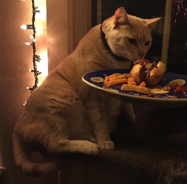 Even kitty Dolomite got a sample.